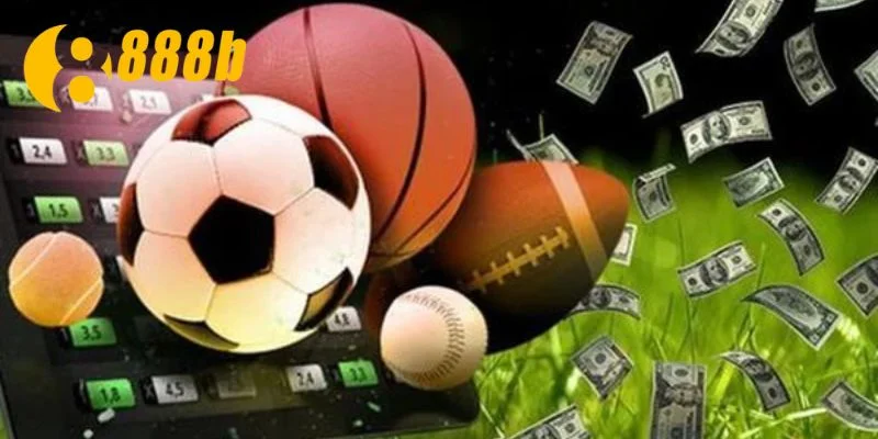 Tham gia cá cược với đa dạng loại kèo trong nhiều môn thể thao