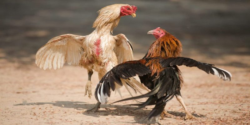 So sánh cần phải biết