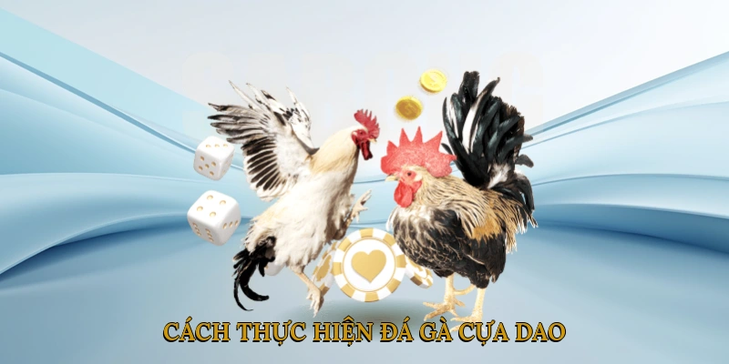 Cách thực hiện đá gà cựa dao