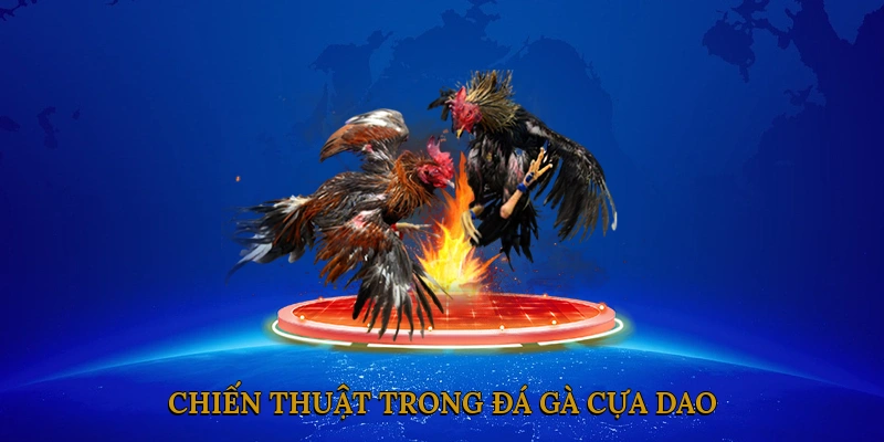 Chiến thuật trong đá gà cựa dao