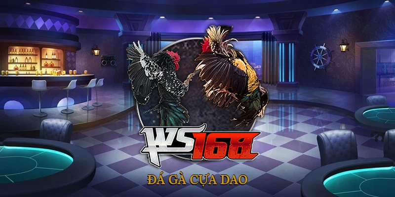 Đá gà cựa dao