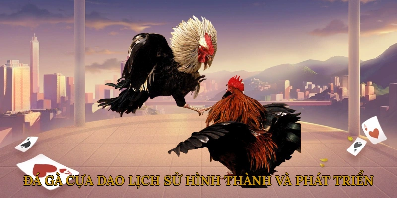 Đá gà cựa dao - Lịch sử hình thành và phát triển