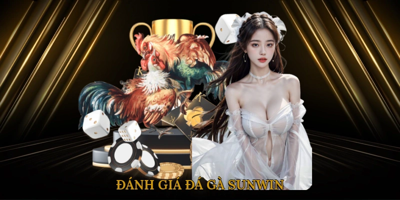Đánh Giá Đá Gà SUNWIN