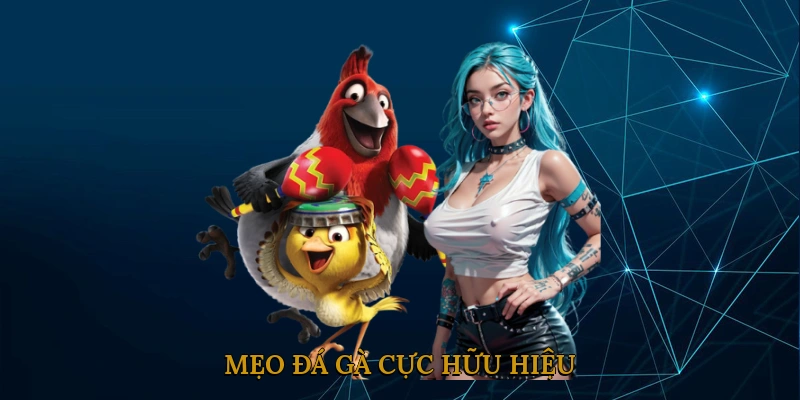 Mẹo đá gà cực hữu hiệu