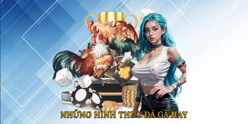 Những hình thức đá gà hay