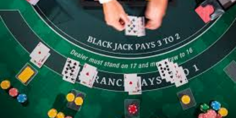 Dealer chia bài trong bàn blackjack online trực tiếp
