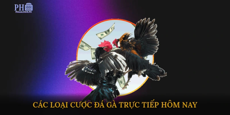 Các loại cược đá gà trực tiếp hôm nay