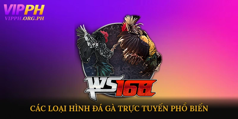 Các loại hình đá gà trực tuyến phổ biến