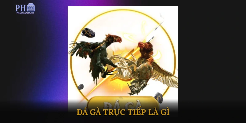 Đá gà trực tiếp là gì?