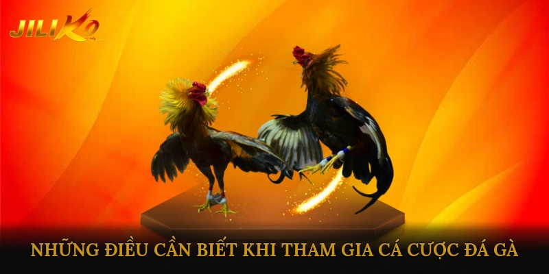 Những Điều Cần Biết Khi Tham Gia Cá Cược Đá Gà Campuchia