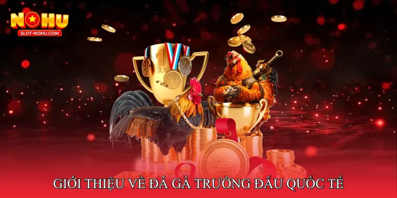 Giới thiệu về đá gà trường đấu quốc tế