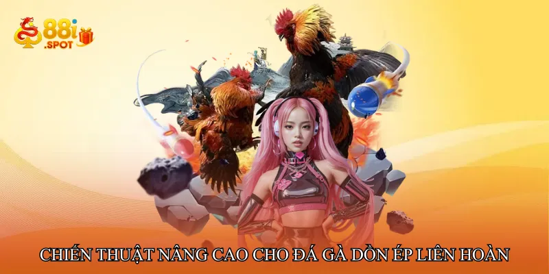 Chiến thuật nâng cao cho đá gà dồn ép liên hoàn