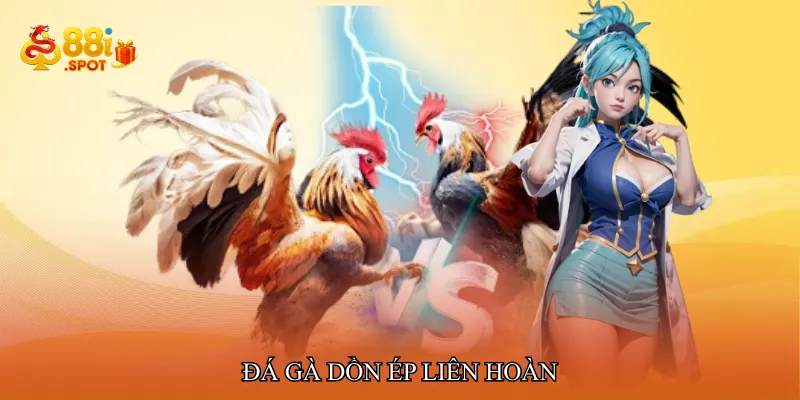 Đá gà dồn ép liên hoàn