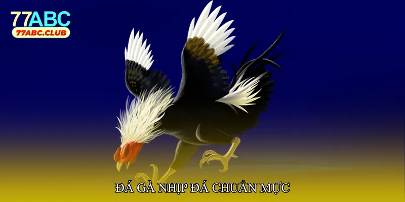 Đá gà nhịp đá chuẩn mực