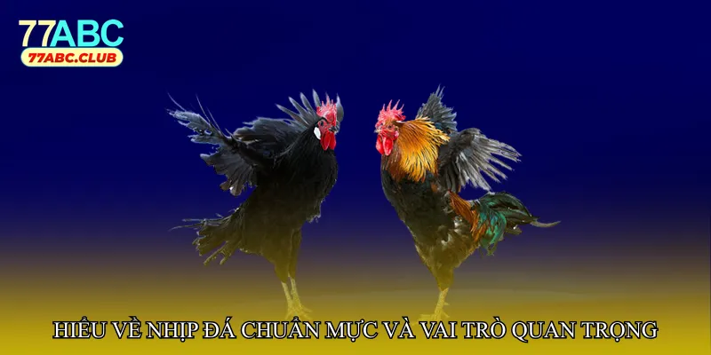 Hiểu về nhịp đá chuẩn mực và vai trò quan trọng